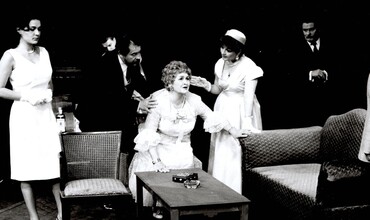 Kočka na rozpálené plechové střeše