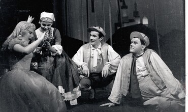 Šípková Růženka