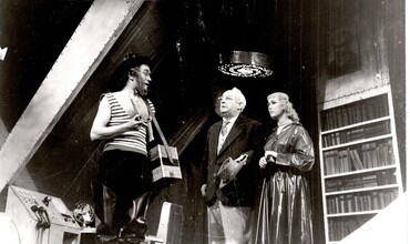 Stromy umírají ve stoje