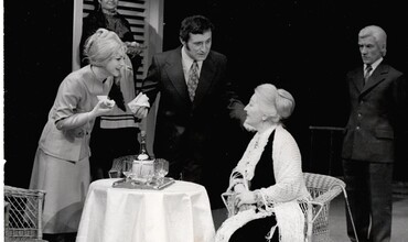 Stromy umírají ve stoje